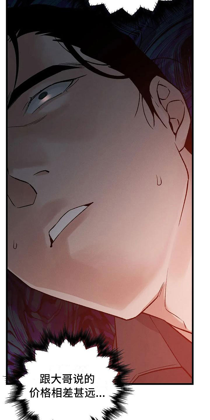 第3章：真正的价格15