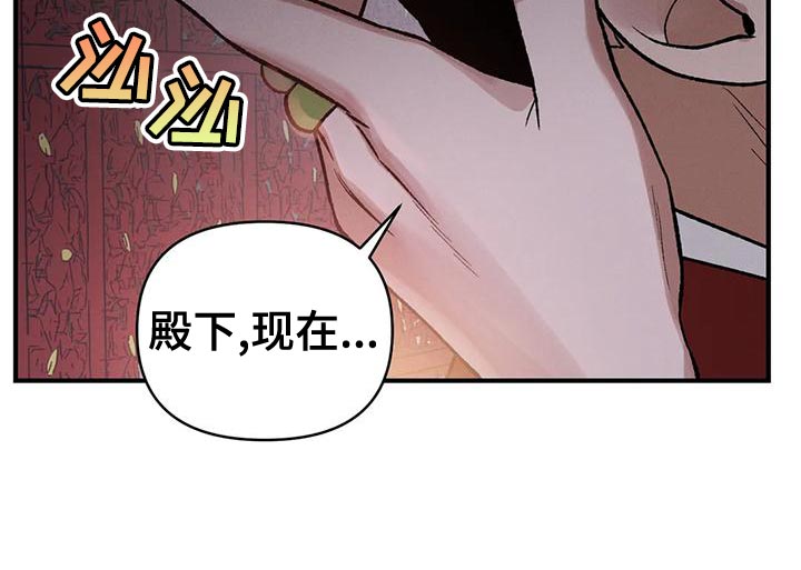 第43章：生日礼物17