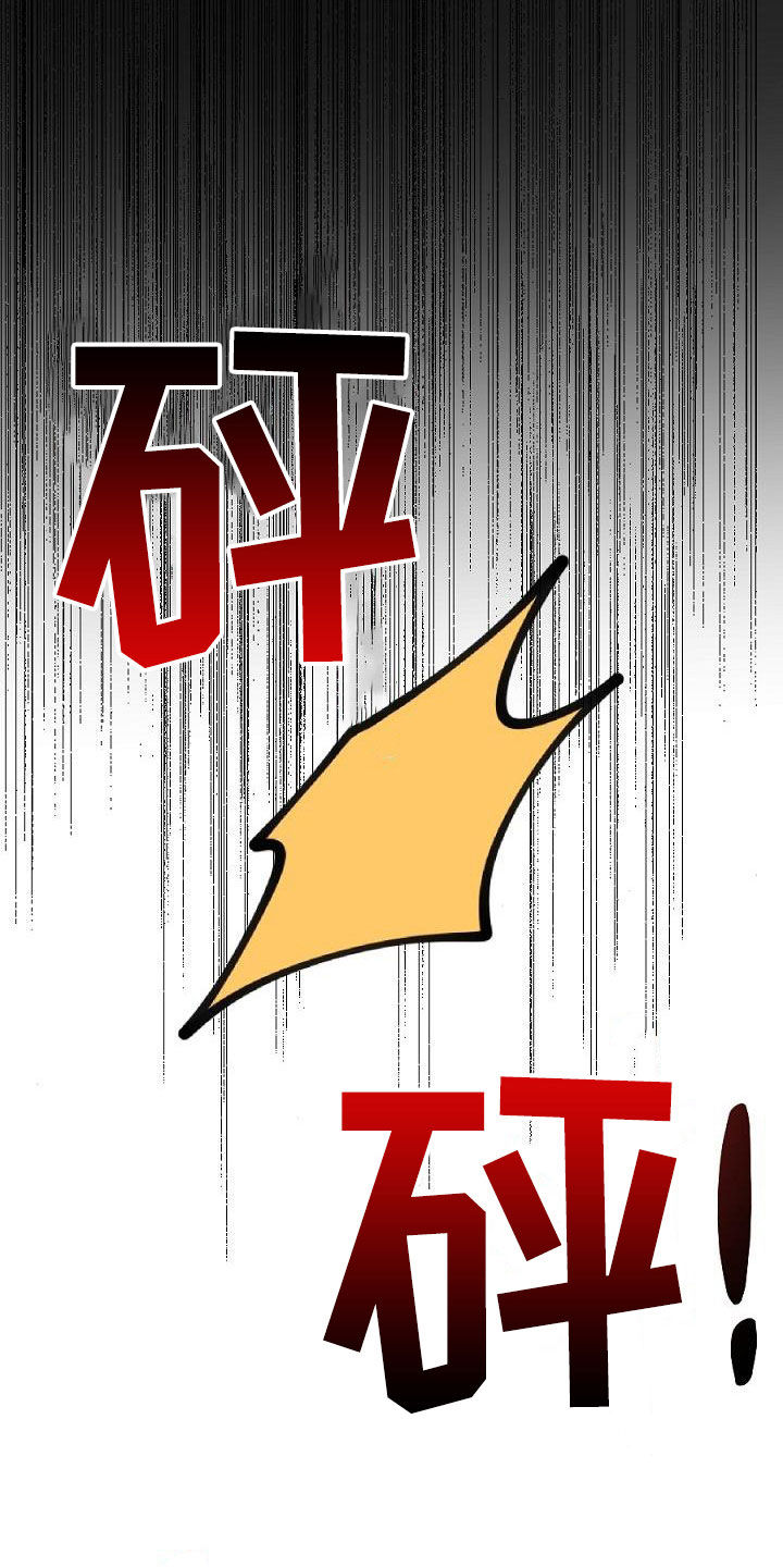 第27章：突变17