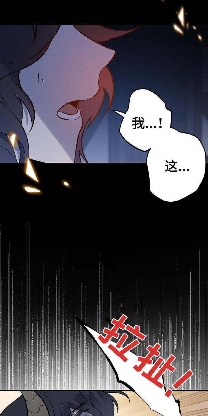 第24章：种子17