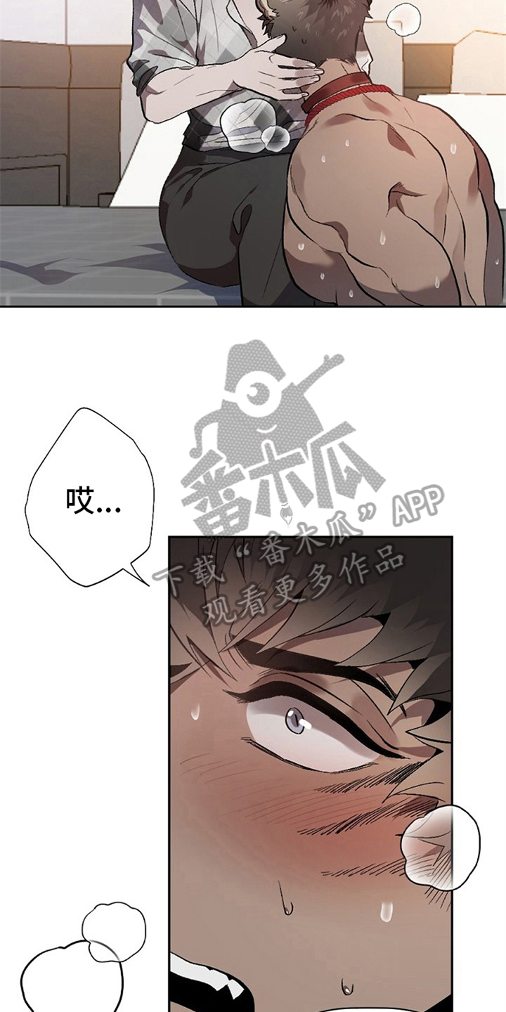 第5章：问题5