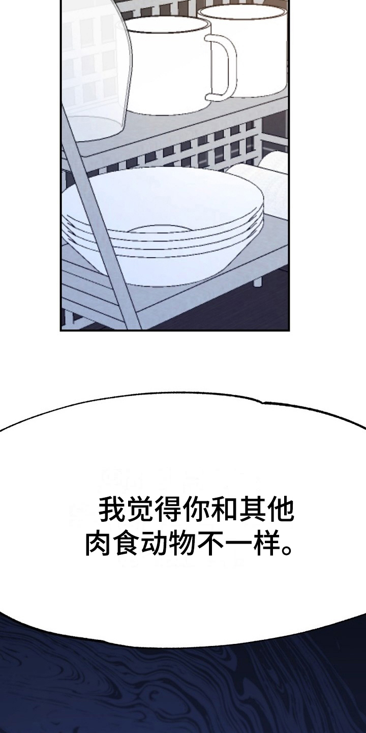 第17章：看走眼15