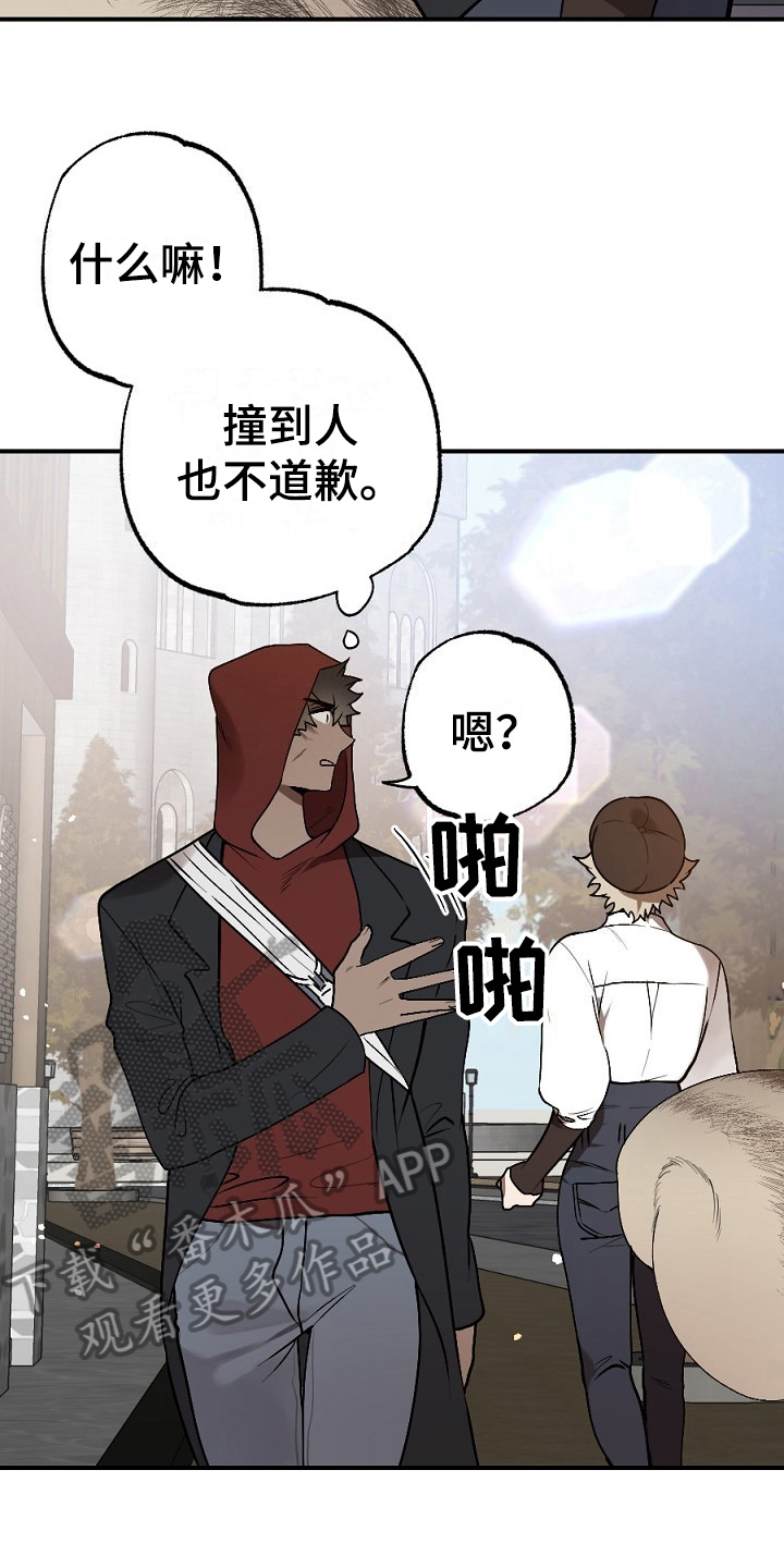 第10章：小偷9