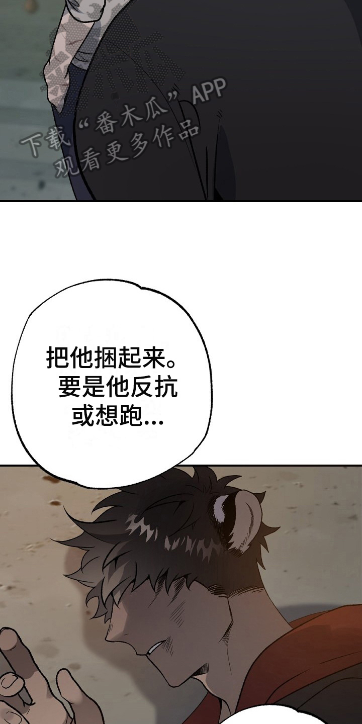 第21章：利用5