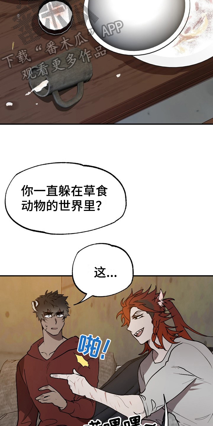 第13章：肉食13