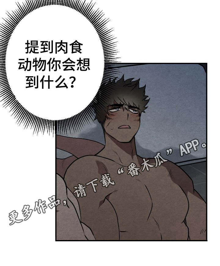 第21章：利用18