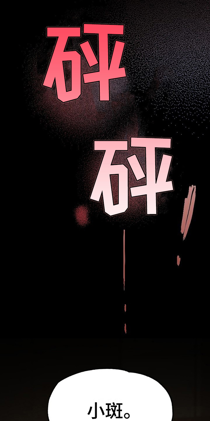 第21章：利用3