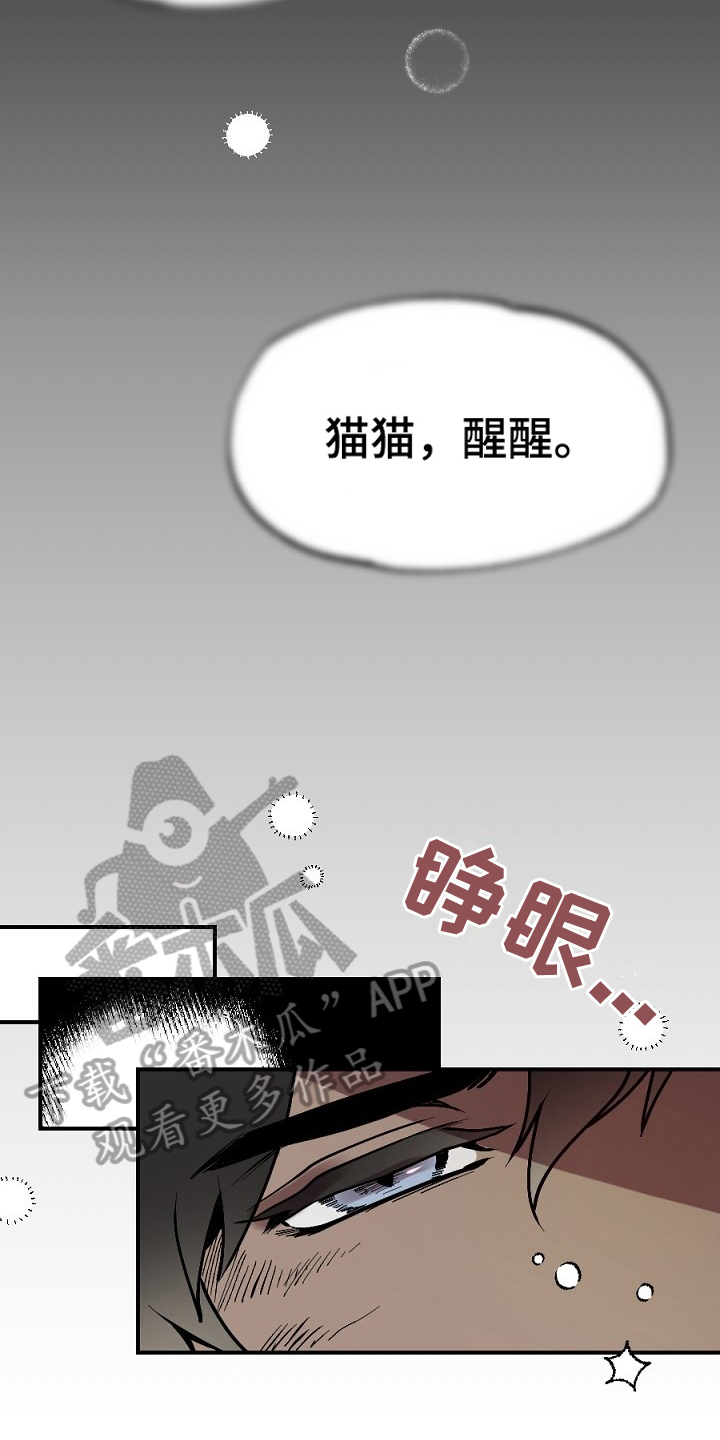 第15章：梦想11