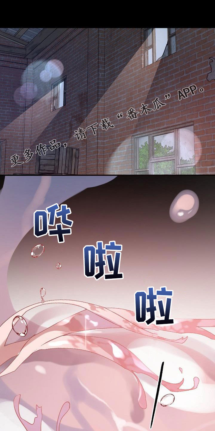 第24章：种子0