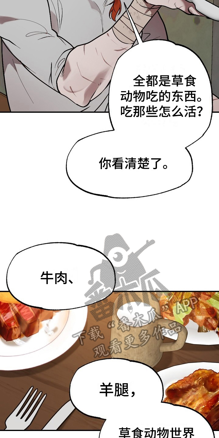 第13章：肉食6