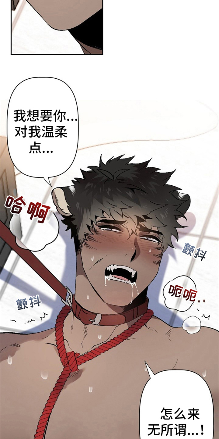 第5章：问题1