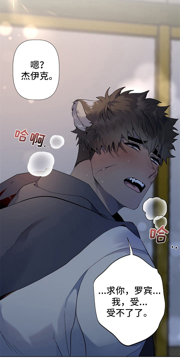 第2章：收留1