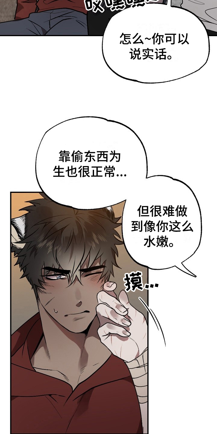 第13章：肉食14