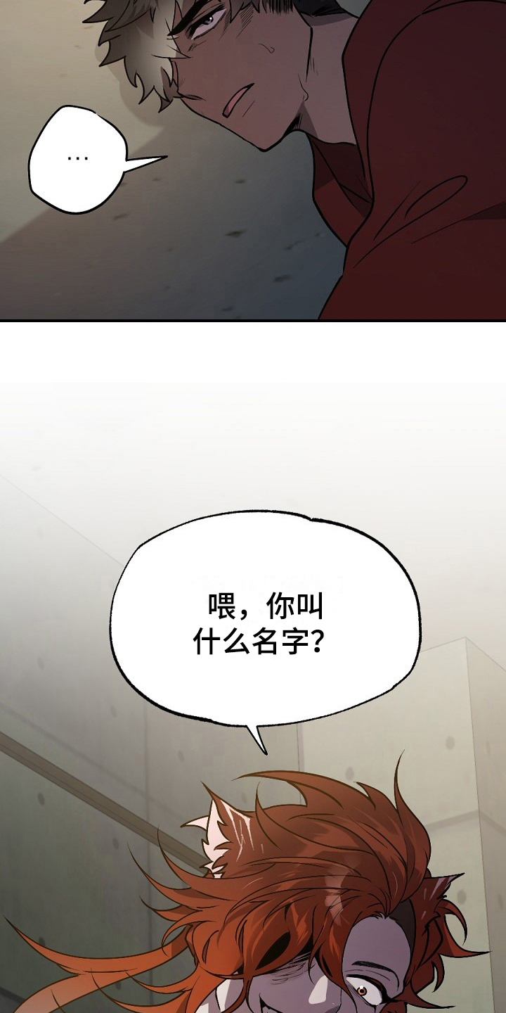 第12章：有意思8