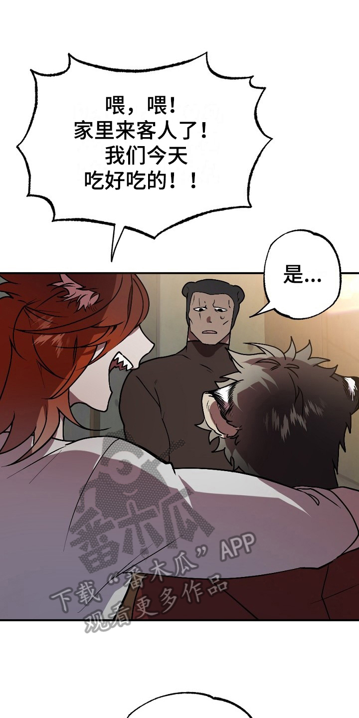 第13章：肉食0