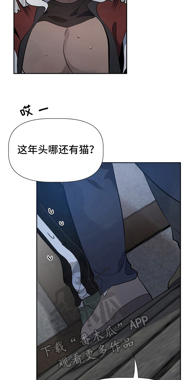 第4章：救援8