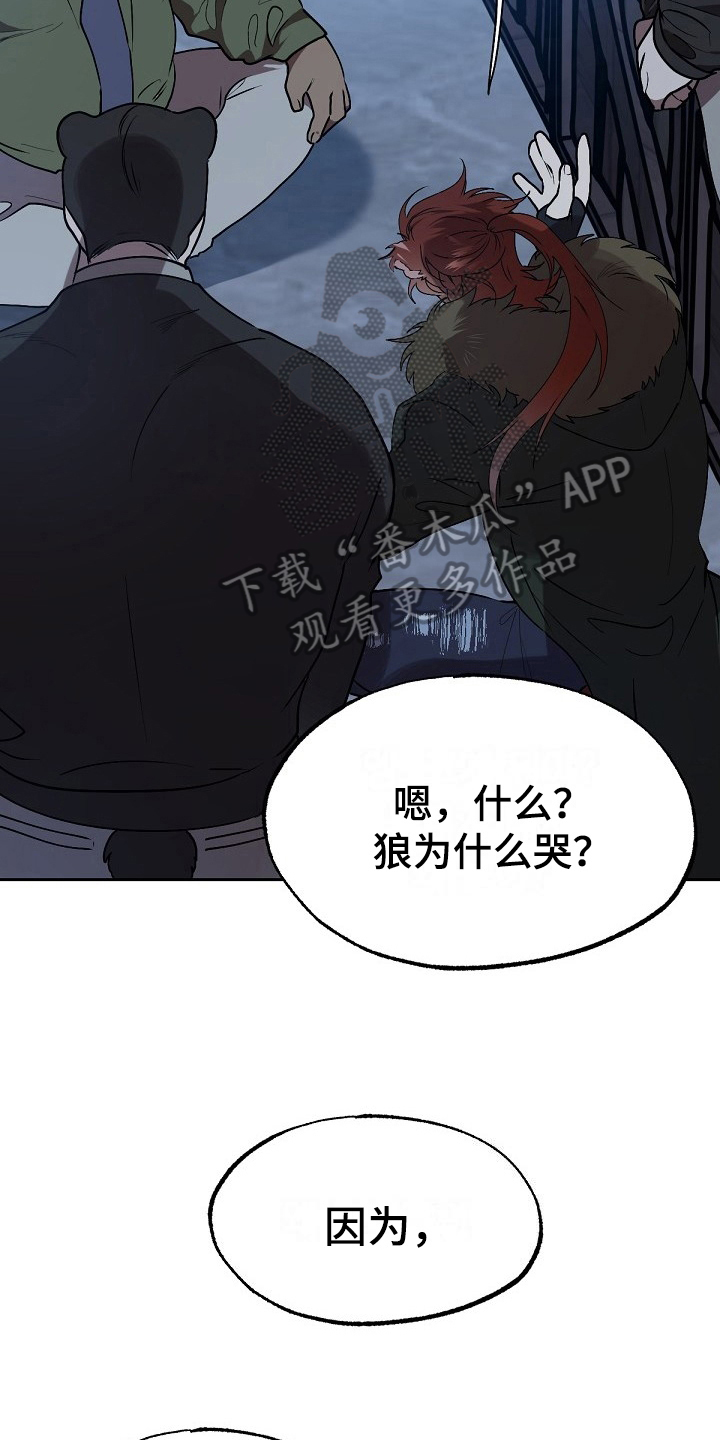 第8章：危险的狼6