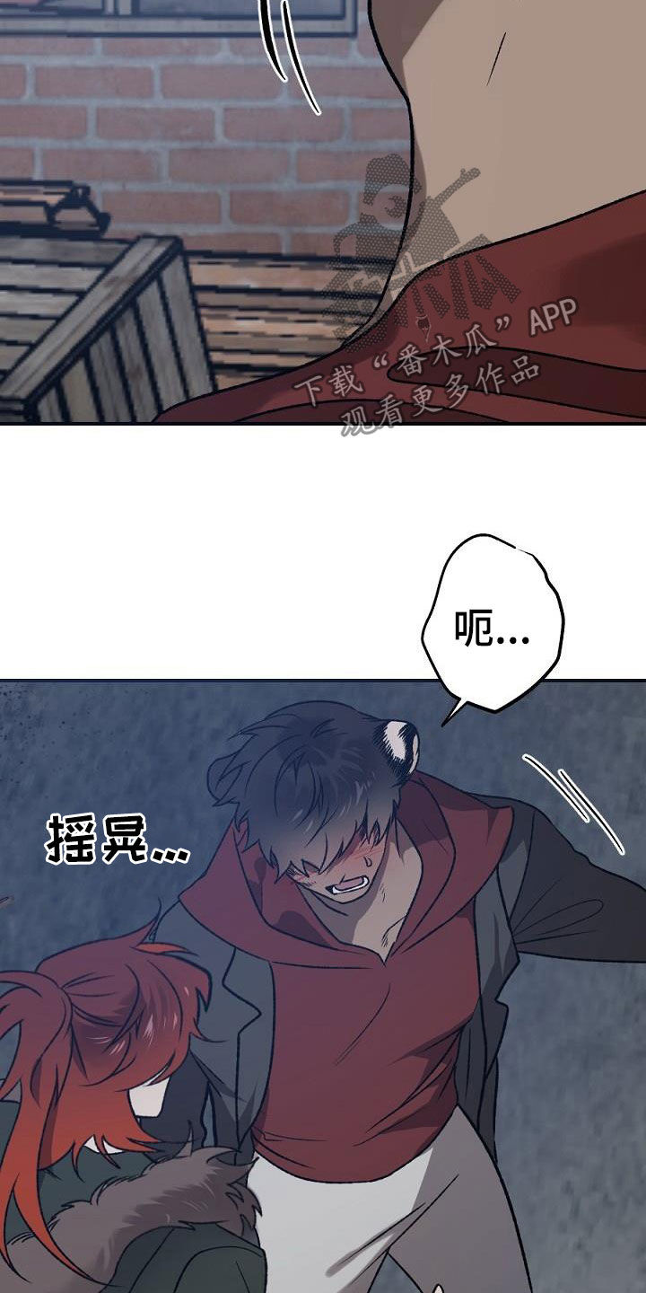 第24章：种子2