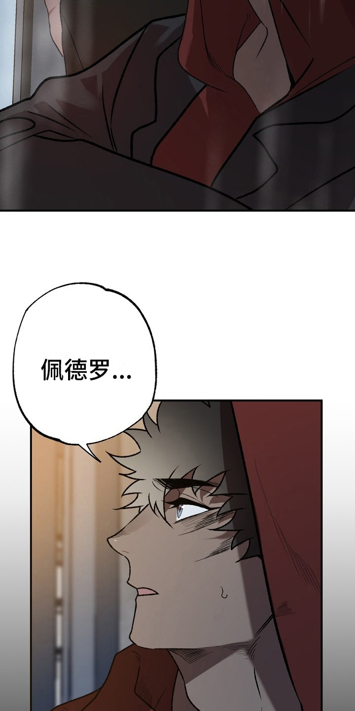 第19章：失败12