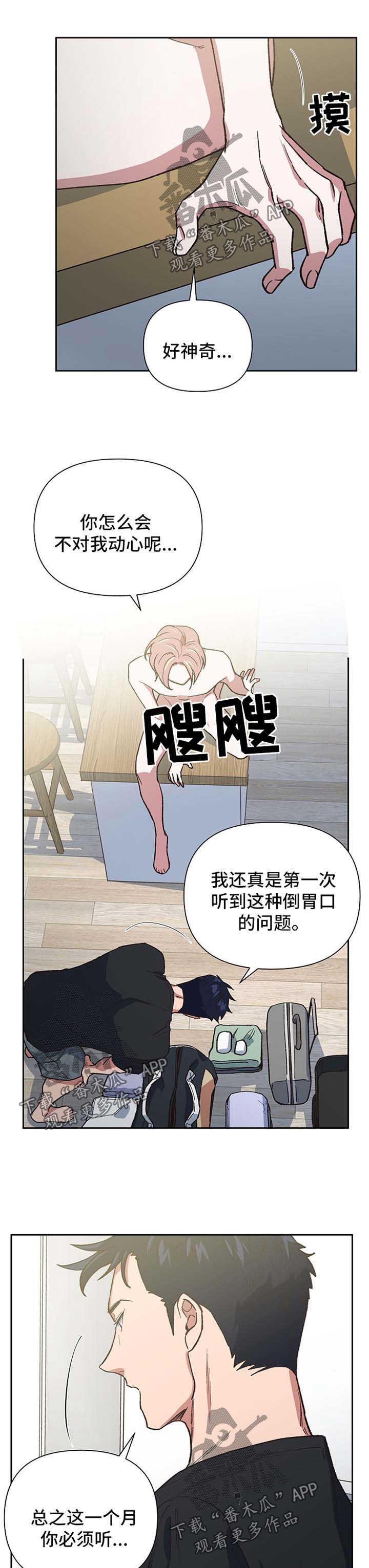 第42章：恢复意识8