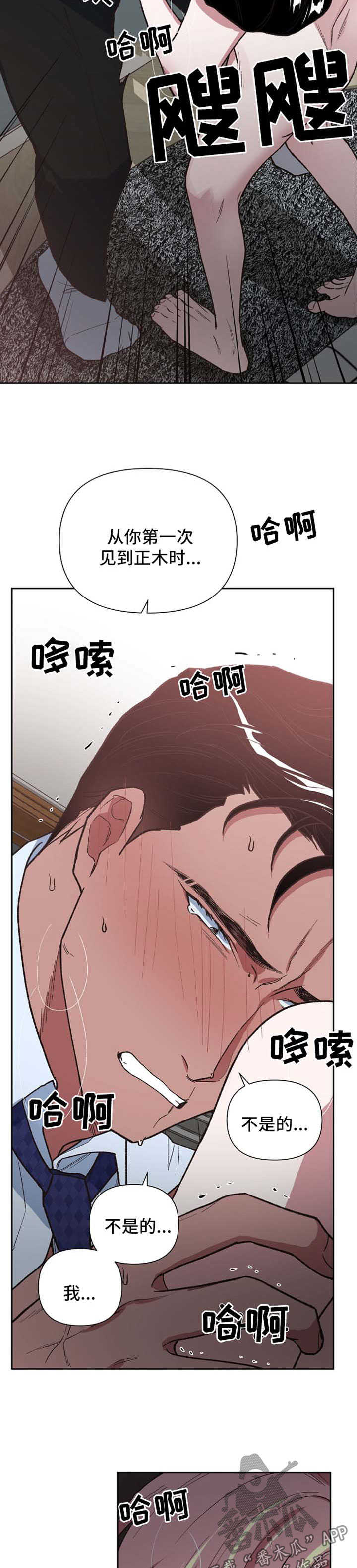 第41章：不断试探11
