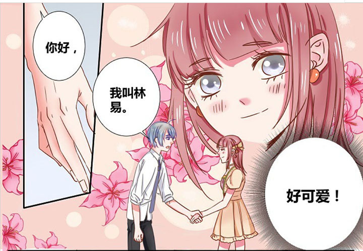 第31章：0