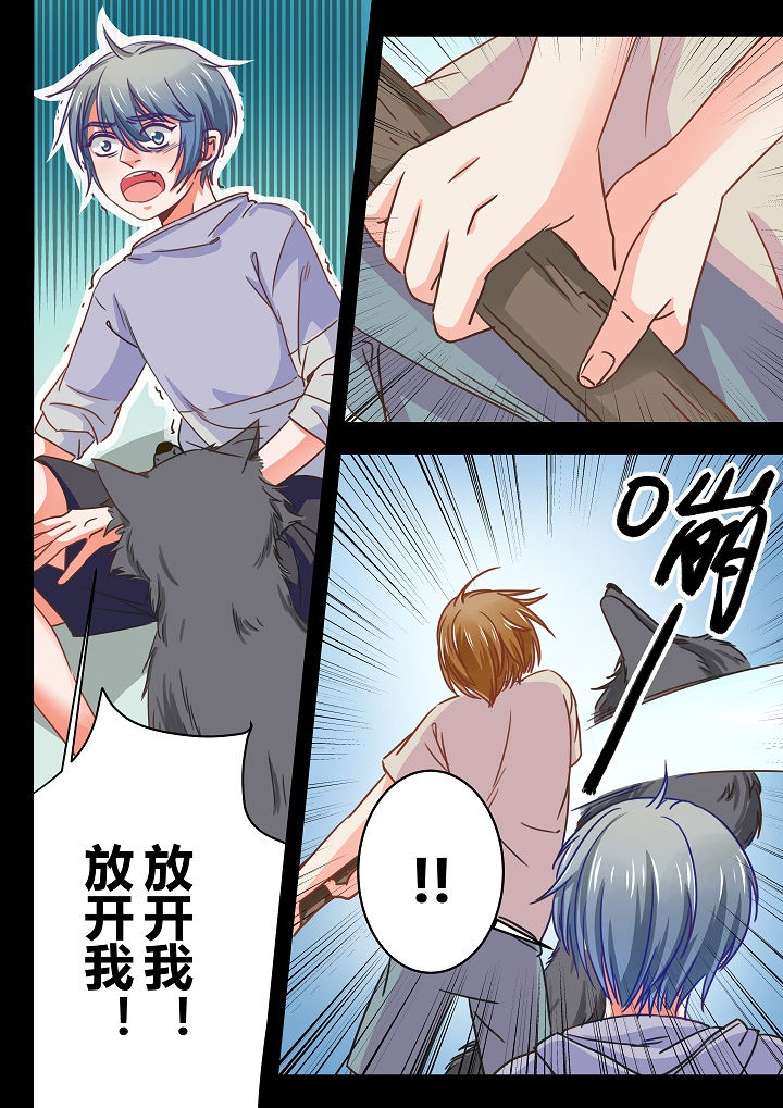 第36章：5
