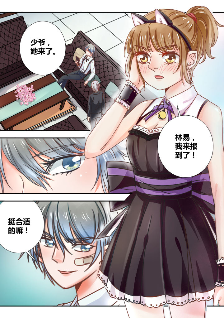第24章：7