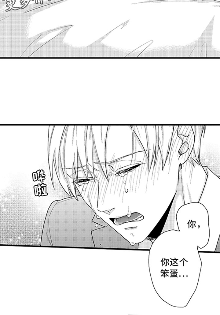 第11章：婆婆的谈话19
