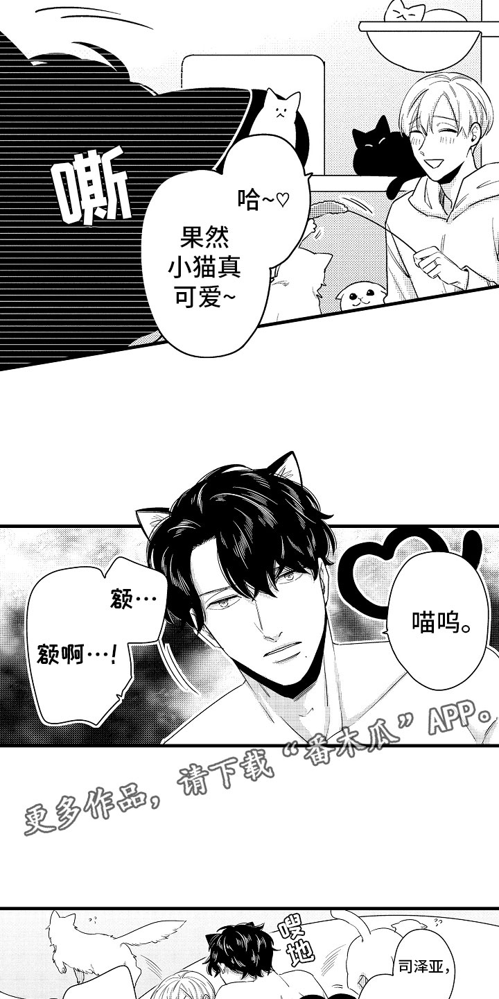 第15章：比那更重要5