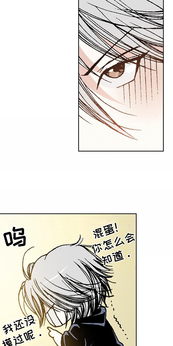 第6章：好美啊8