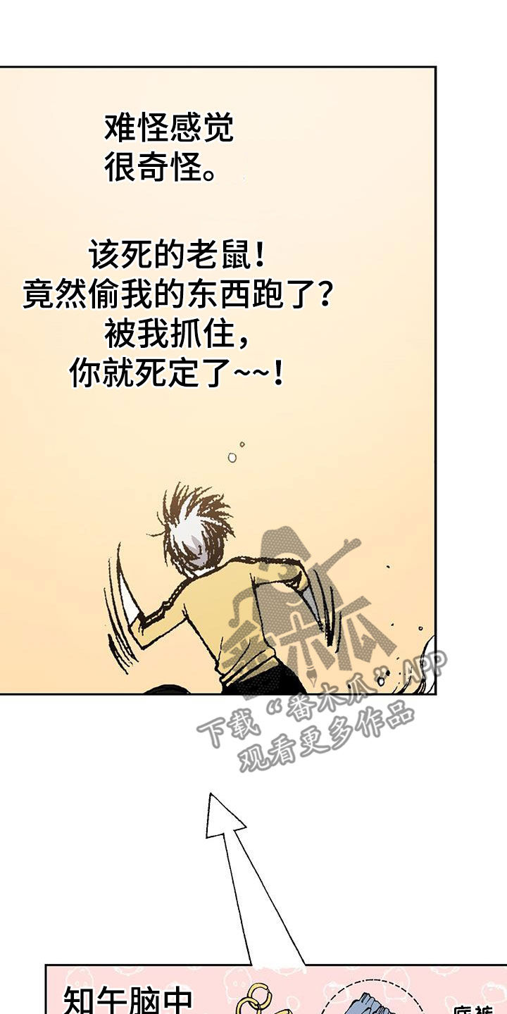 第35章：气跑19