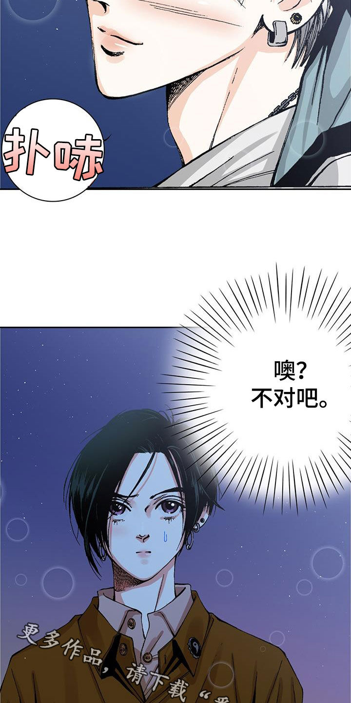 第52章：不对吧19