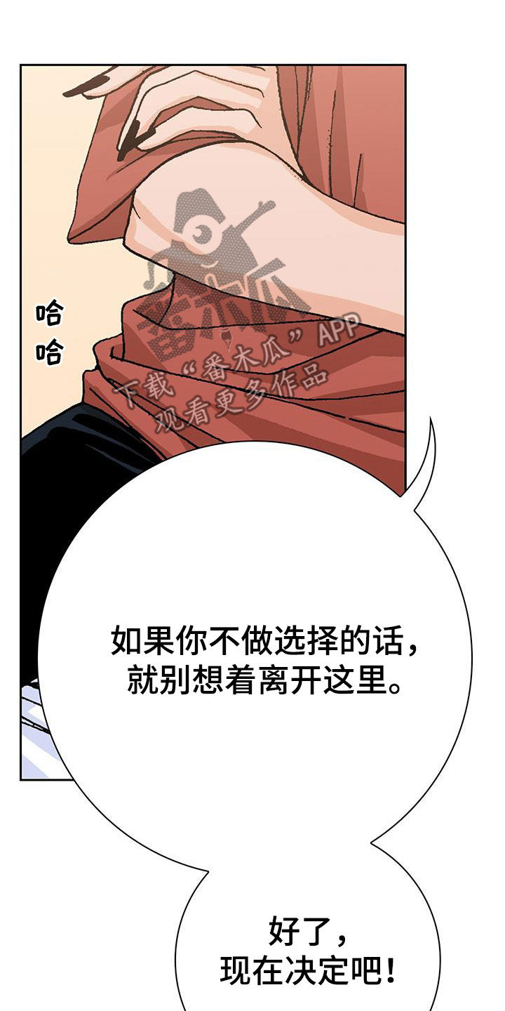 第24章：选择14