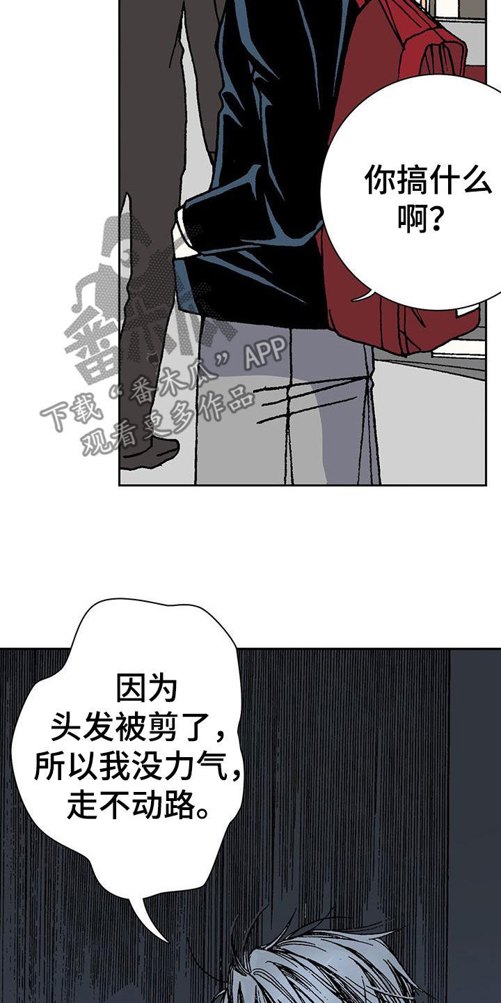 第31章：请客 21