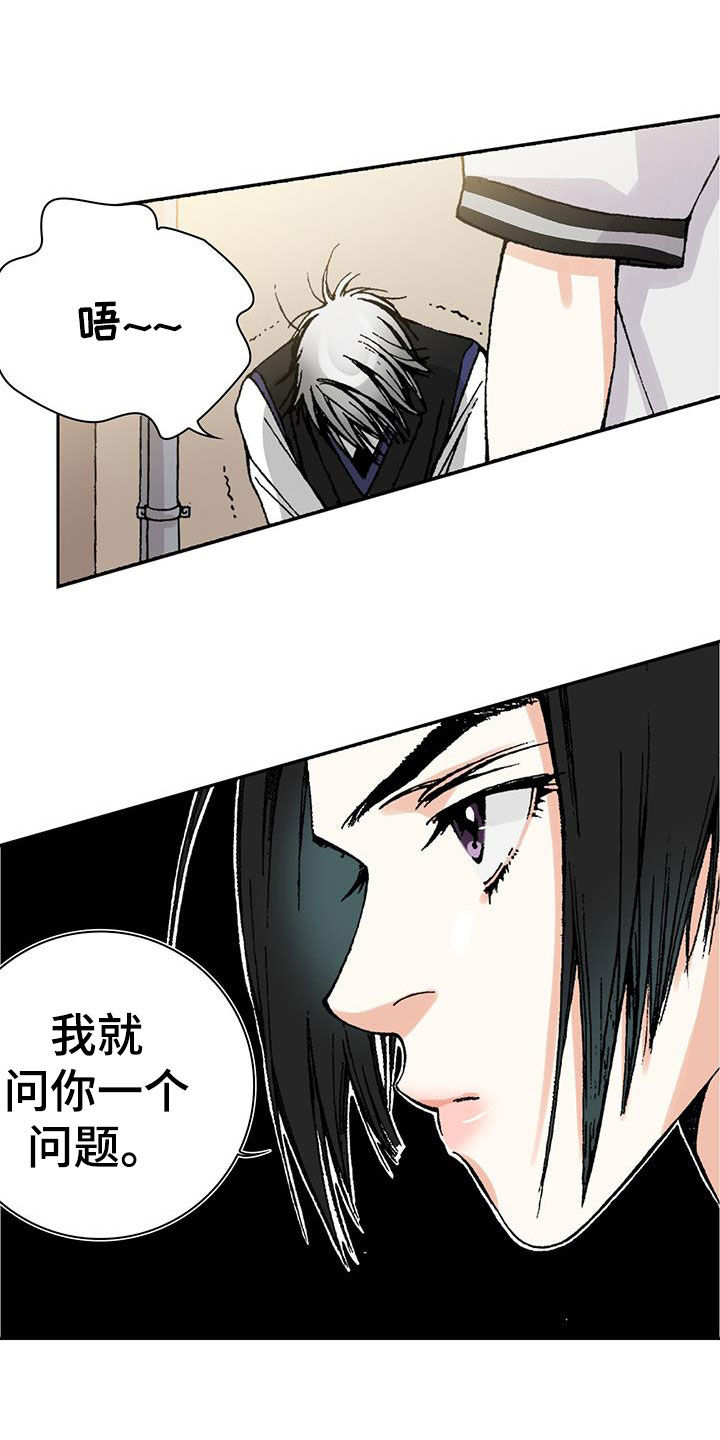 第50章：理想型19