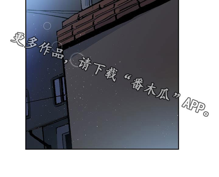 第18章：盗窃车辆27