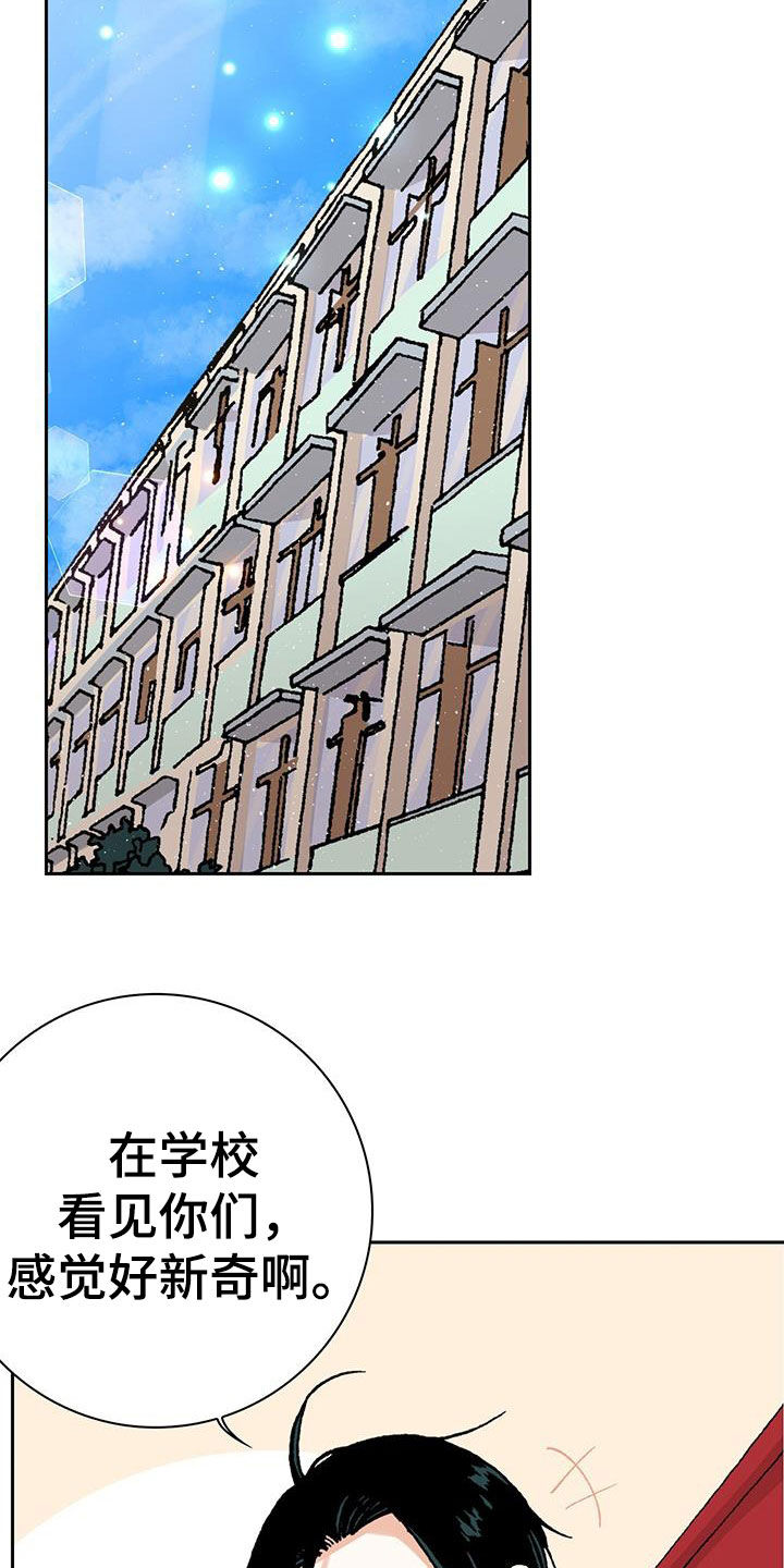 第50章：理想型7