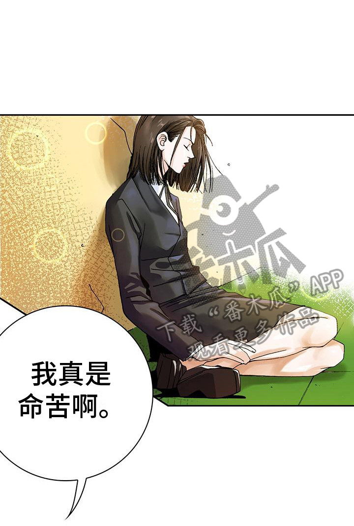 第14章：屋顶17