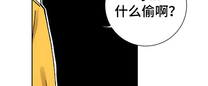 第18章：盗窃车辆14