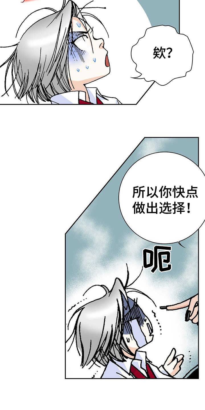 第24章：选择13