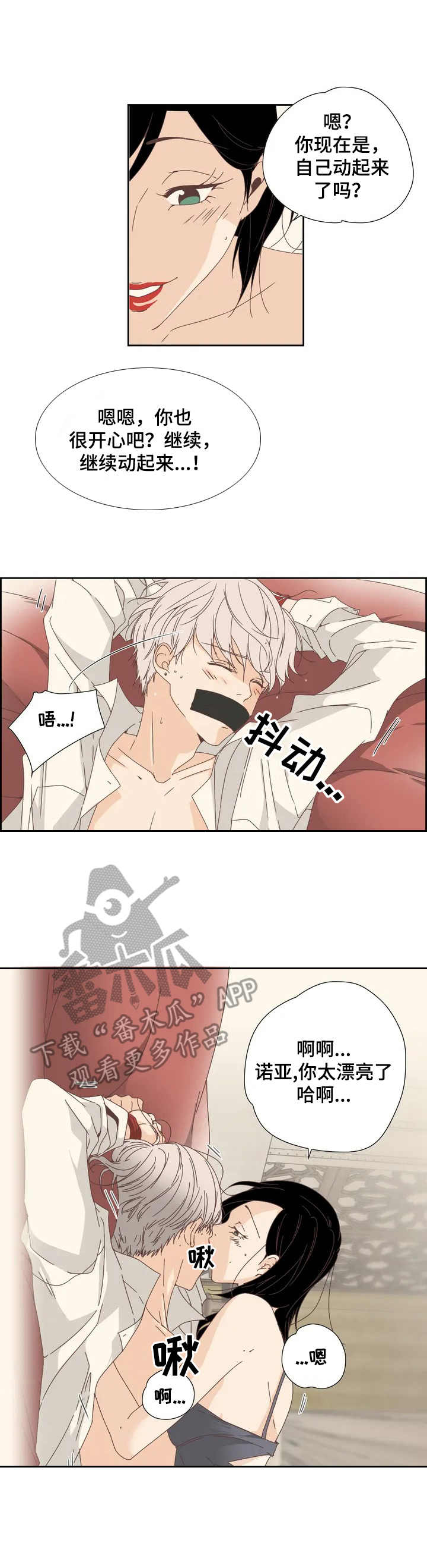 第11章：秘密5