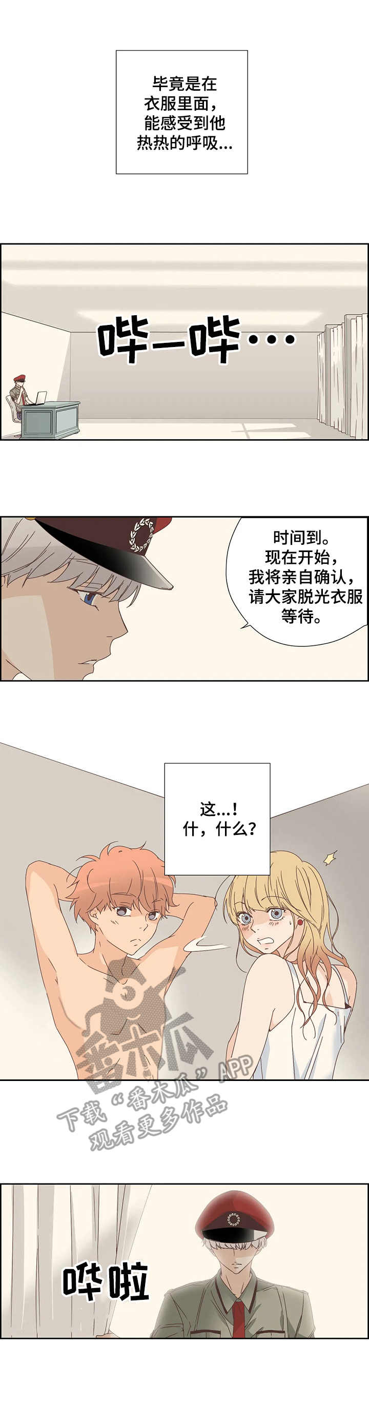第17章：检查5