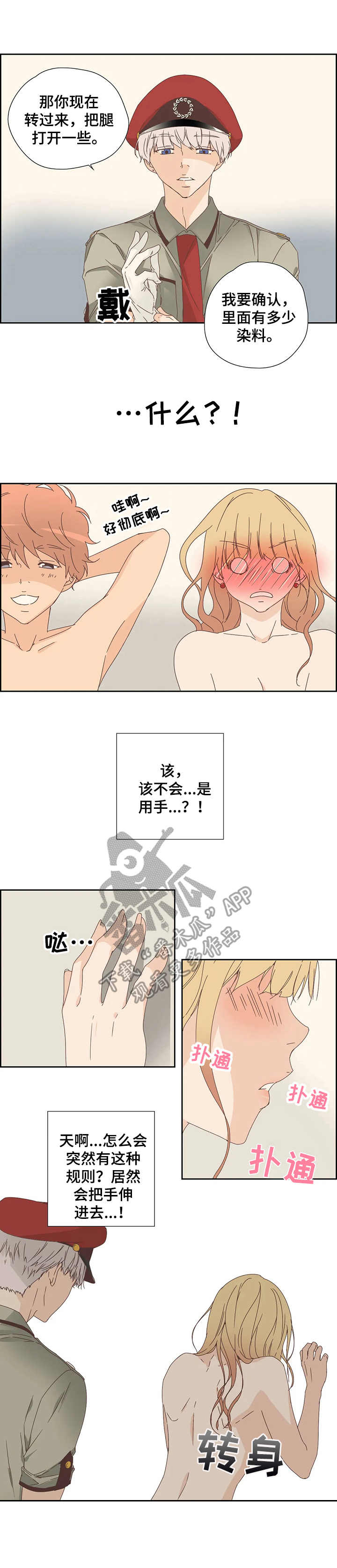 第17章：检查7