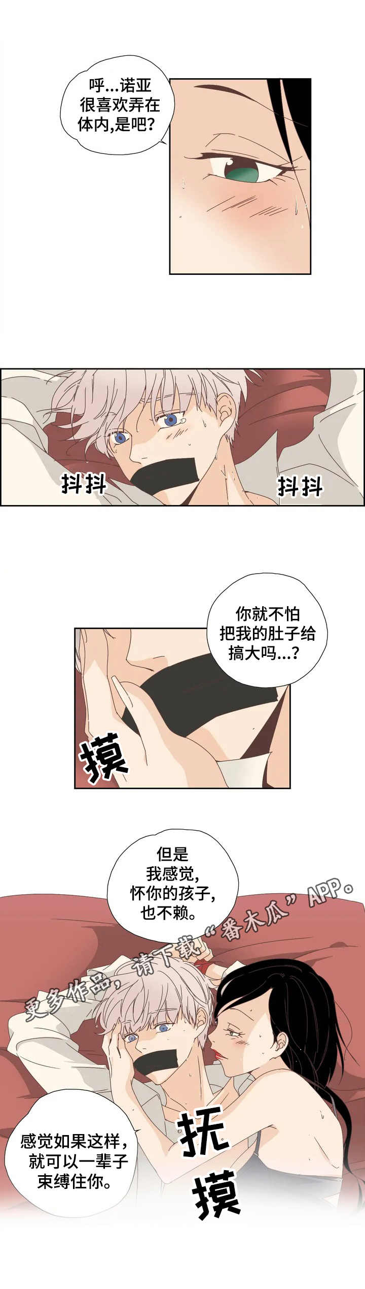 第11章：秘密6