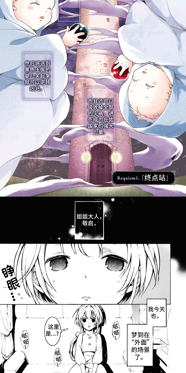 第1章： 双胞胎3