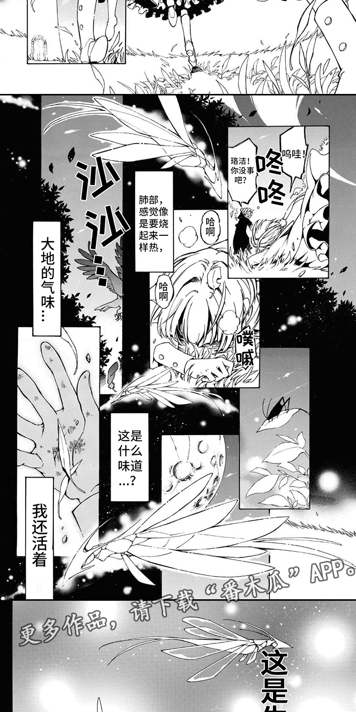第5章：生命的气息2