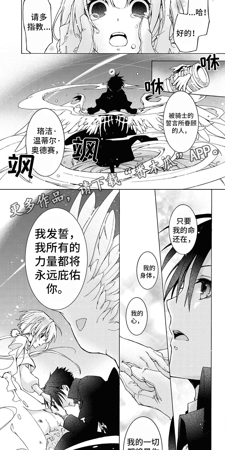 第15章：骑士誓言1