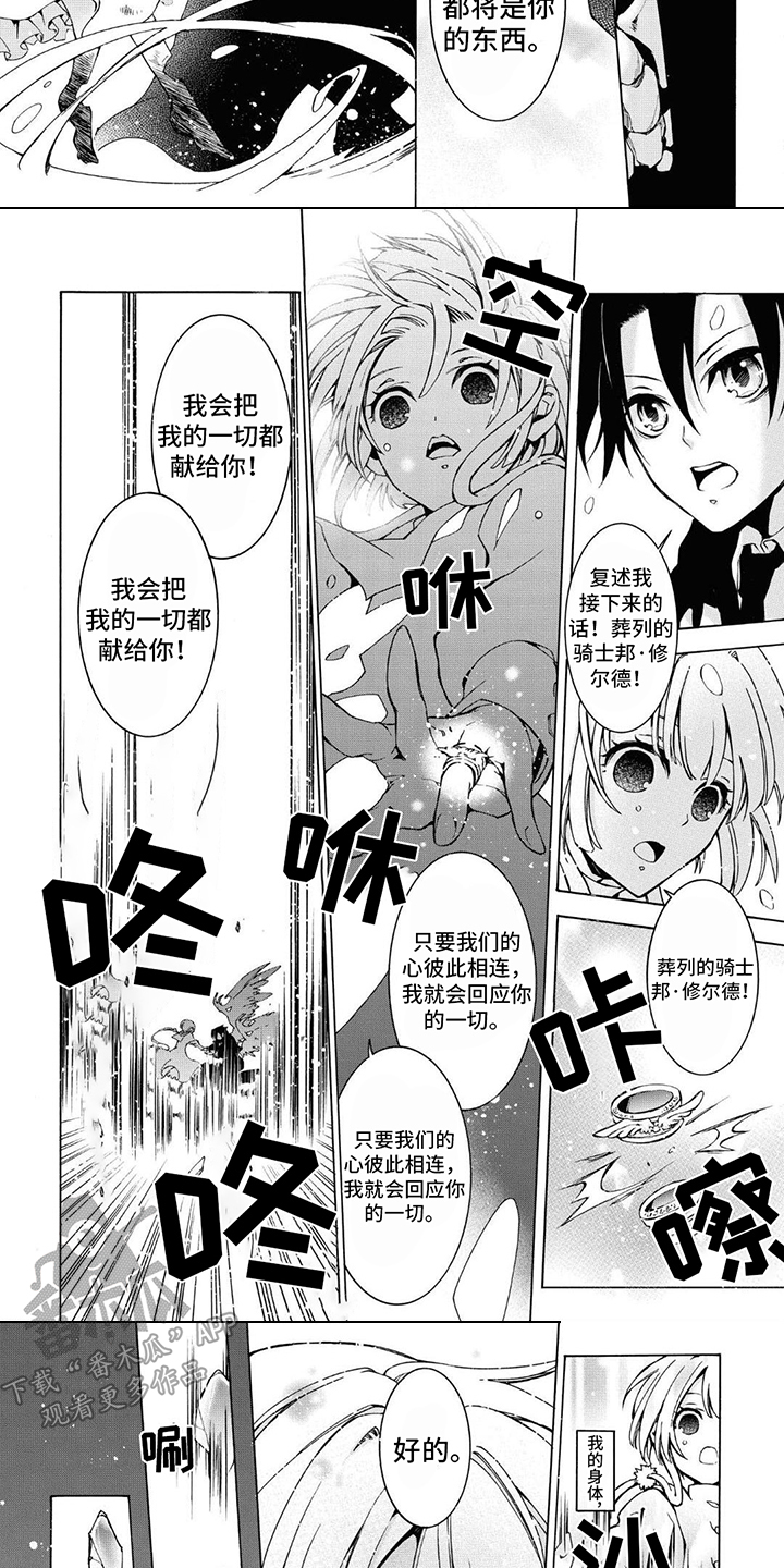 第15章：骑士誓言2