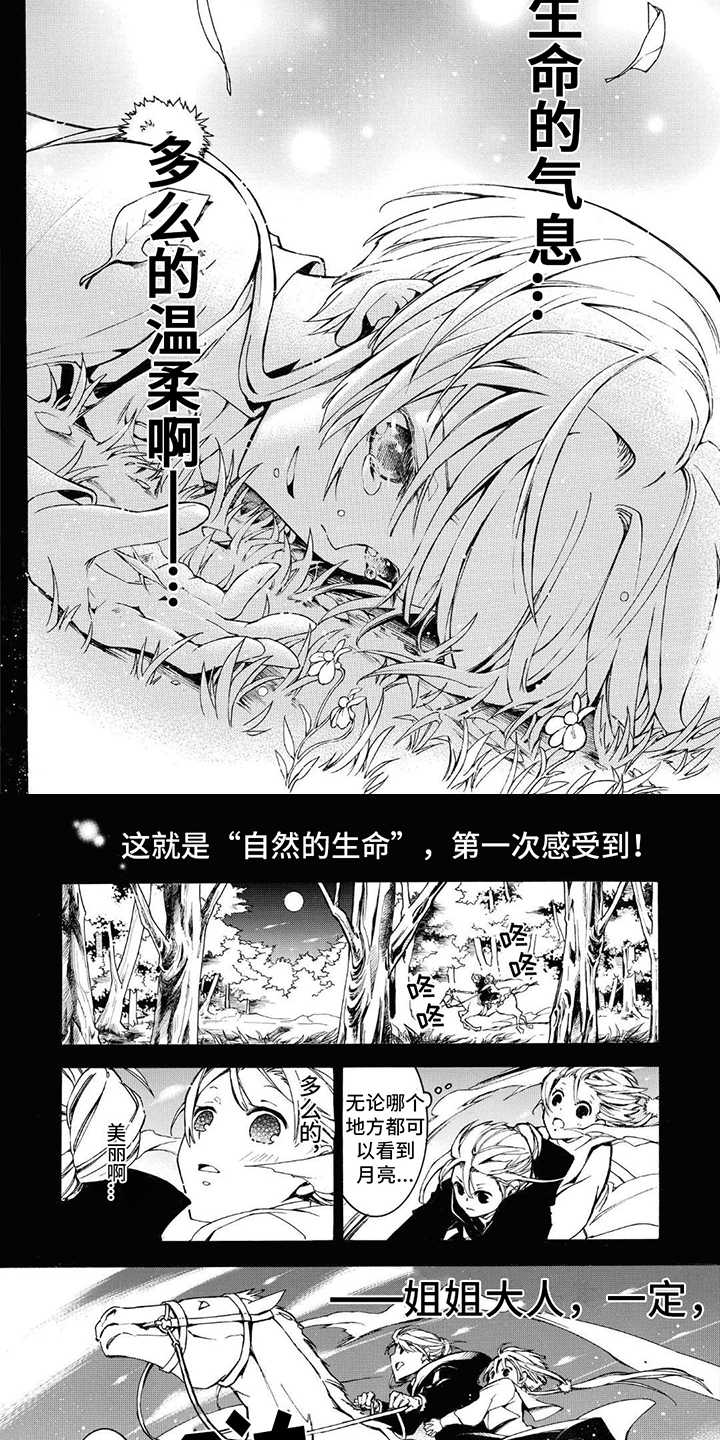 第5章：生命的气息3
